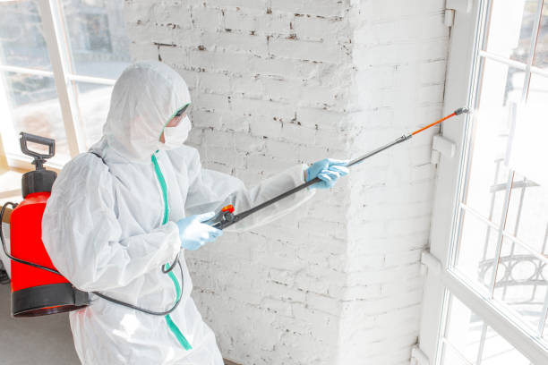 Mold Odor Removal Services in Pleasanton, TX