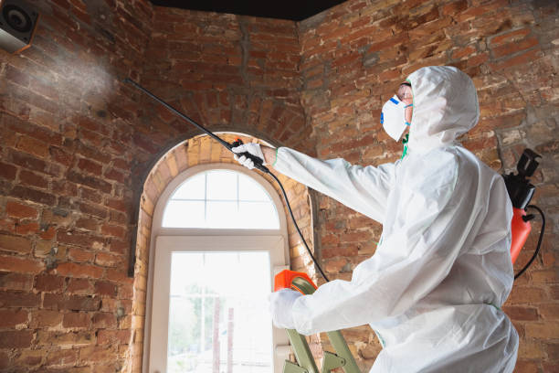 Mold Remediation for Vacation Homes in Pleasanton, TX