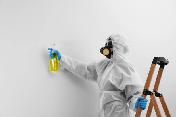 Asbestos and Lead Testing During Mold Inspection in Pleasanton, TX