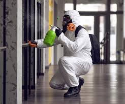 Best Mold Remediation for Healthcare Facilities  in Pleasanton, TX